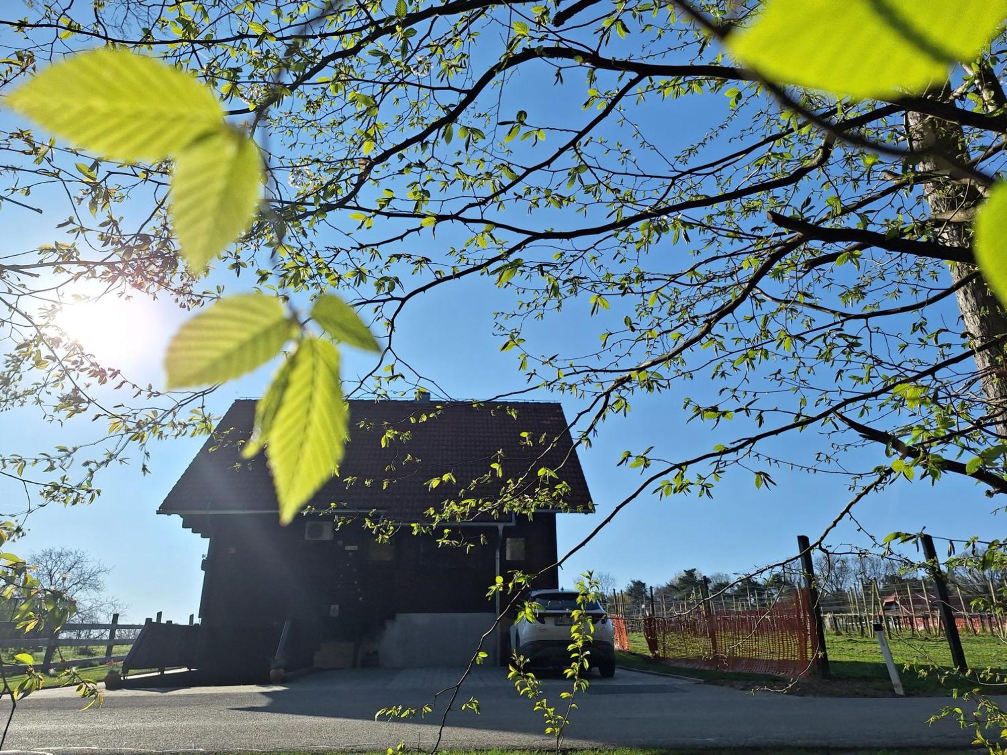 Logarska Koca Villa Fokovci Екстериор снимка